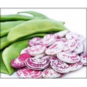 FRESH RED LIMA BEANS : 1KG