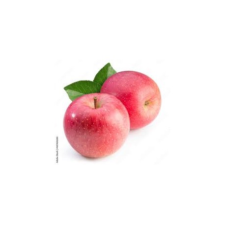 JAPNESE SAN FUJI APPLES GIFT BOX : 3KG