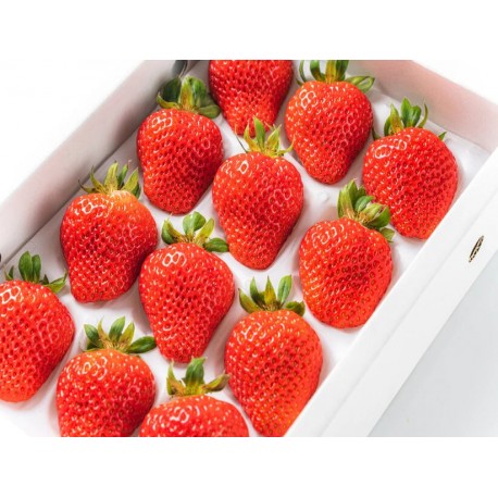 SWEET CHARLIE STRAWBERRY GIFT BOX : 1KG