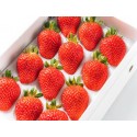 SWEET CHARLIE STRAWBERRY GIFT BOX : 1KG
