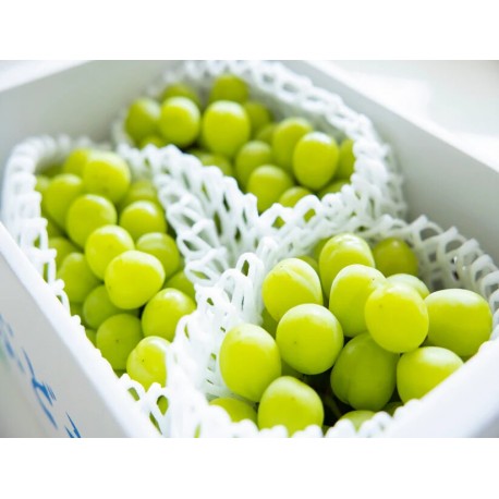 SHINE MUSCAT GRAPES : 1KG