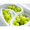 SHINE MUSCAT GRAPES :GIFT BOX : 2KG