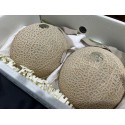 EXOTIC HONEYDEW MELON GIFT BOX : 1KG X 2 PCS