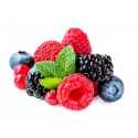 EXOTIC BERRIES GIFT BOX : 125 x 4 GMS