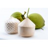 COCO NEER - TENDER COCONUT BOX - 12 PCS