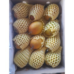 ALPHONSO MANGO GIFT BOX : 12 PCS
