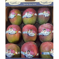 SOUTH AFRICAN KENT MANGO GIFT BOX : 12 PCS