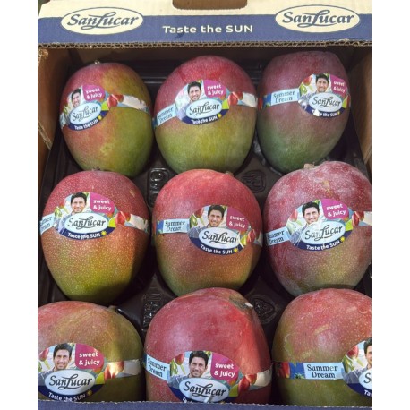 SOUTH AFRICAN KENT MANGO GIFT BOX : 9 PCS