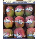 SOUTH AFRICAN KENT MANGO GIFT BOX : 12 PCS