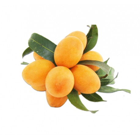 PLUM MANGO FROM THAILAND  : 1KG