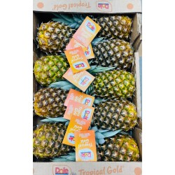 SWEET PINEAPPLE FROM HOLLAND GIFT BOX : 8PCS