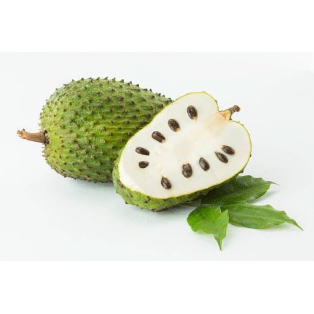 SOURSOP FRUIT - INDIAN VARIETY : 1KG
