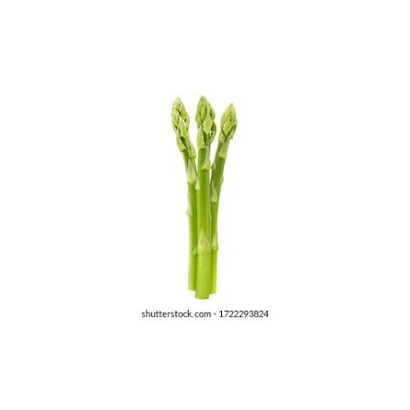 FRESH GREEN ASPARAGUS - SHATAVARI : 500 gm