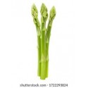 FRESH GREEN ASPARAGUS - SHATAVARI : 500GM