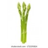 FRESH GREEN ASPARAGUS - SHATAVARI : 500 gm
