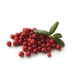 ORGANIC SMALL RED BER : 1KG