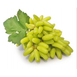 SUPER SONAKA SWEET GRAPES : 1KG