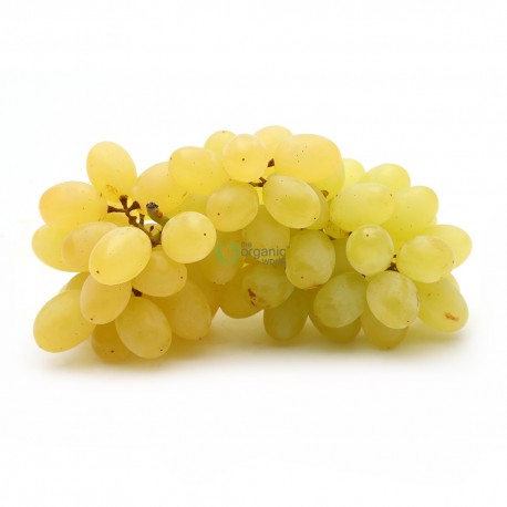 SWEET GREEN GRAPES CASE : 10KG