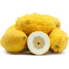 GAL LIMBU - CITRON LEMON : 1KG
