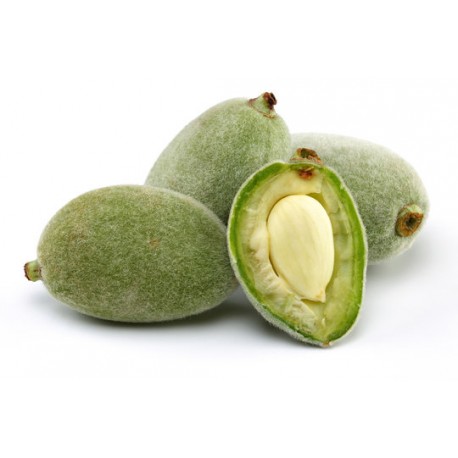 GREEN ALMOND BADAM FRUIT  : 1KG