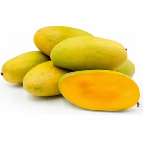 DASHERI MANGO : 5KG