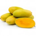 DASHERI MANGO : 5KG
