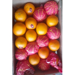 ORANGES GIFT BOX : 10KG