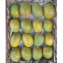 PAYRI MANGO - AMRUT PAYRI - 1 DOZEN