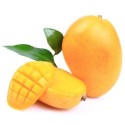 SWEET SAFEDA MANGO : 5KG