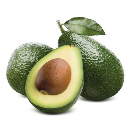 AVOCADO FRUIT BOX : 6 PCS