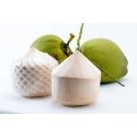 EXOTIC THAI COCONUT BOX :  5 PCS