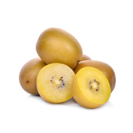 GOLDEN KIWI FRUIT GIFT BOX : 16 PCS