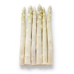 FRESH GREEN ASPARAGUS - SHATAVARI : 500 gm