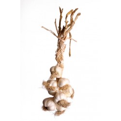ORGANIC & NATURE DRIED GARLIC BUNCH : 1KG