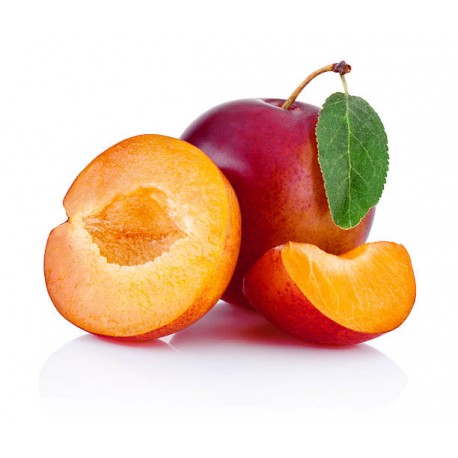 CHINESE RED PLUM GIFT BOX: 5KG