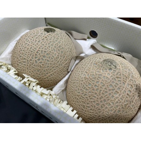 CHIA TAI MUSK MELON GIFT BOX : 1KG X 2 PCS