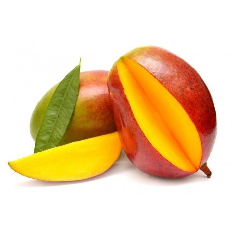 KENT MANGO BRAZIL : 1 DOZEN