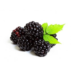 BLACK BERRY FRUIT BOX : 125 GM