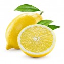 ITALIAN LEMONS  : PACK OF 24 PCS