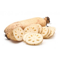 LOTUS ROOT VEGETABLE  :  1KG