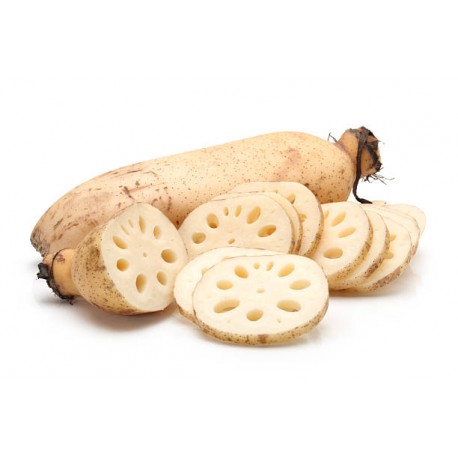 LOTUS ROOT VEGETABLE  :  1KG