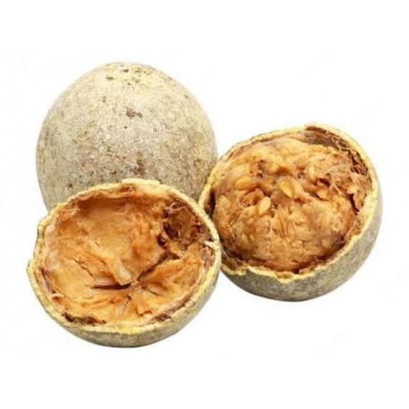 KAVATH - WOOD APPLE FRUIT  :  6 PCS