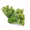 FRESH FENNEL SEEDS : 1KG