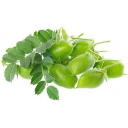 FRESH GREEN HARBARA PACK : 1KG