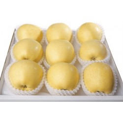 CHINA YELLOW FUJI APPLES GIFT BOX : 5KG