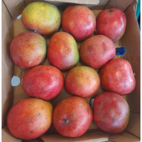 MALAWI MANGOES BOX : 12 PCS