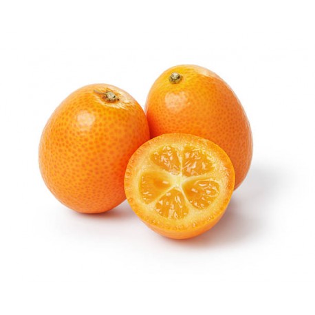 KUMQUAT FRUIT : 250 GM
