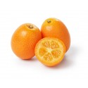 KUMQUAT FRUIT : 250 GM