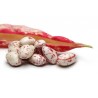 WHITE & PINK LIMA BEANS : 1KG