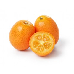 KUMQUAT FRUIT : 500 GM